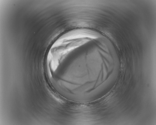 X0000063460390200602171933