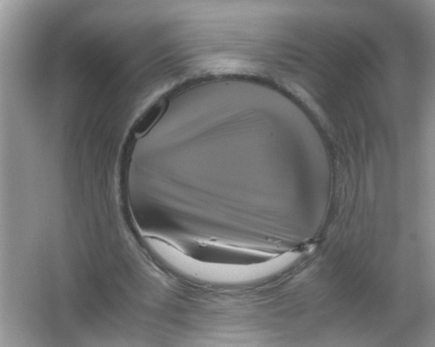 X0000063460391200602171933