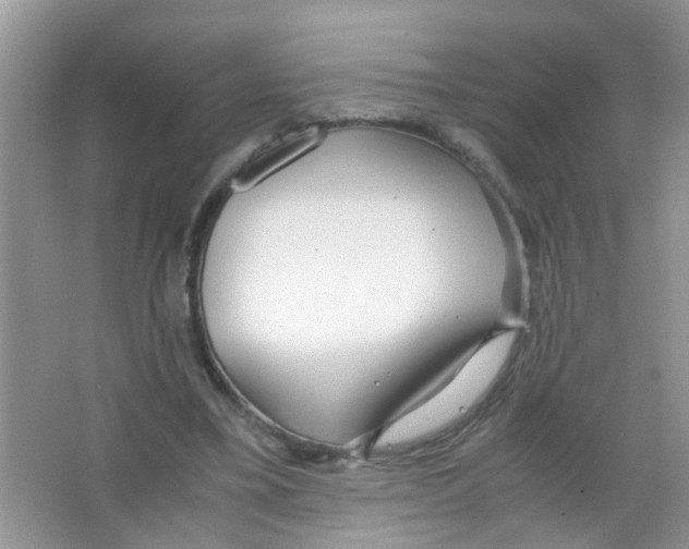 X0000063460395200602171933