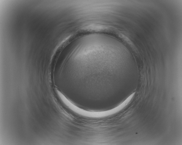 X0000063460399200602171933
