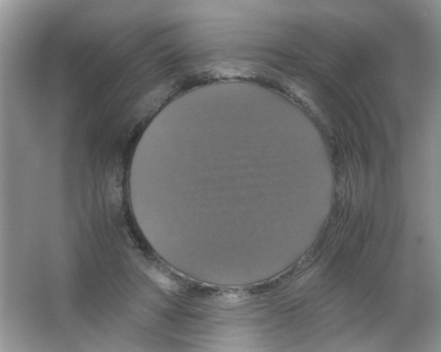 X0000063460402200602171933