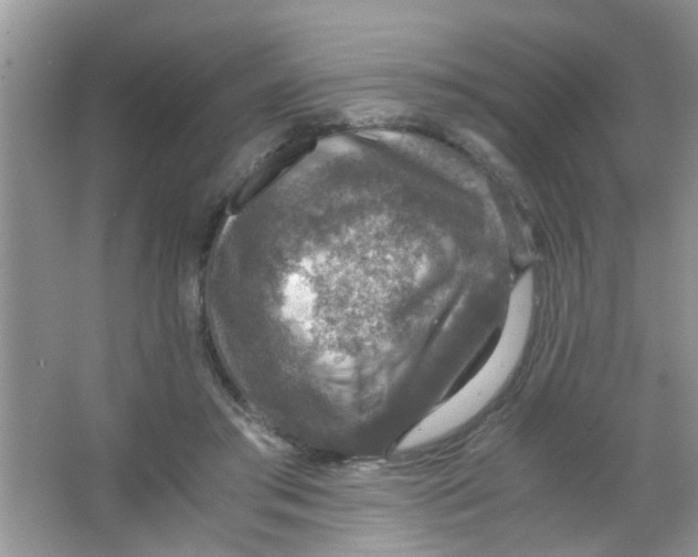 X0000063460405200602171932