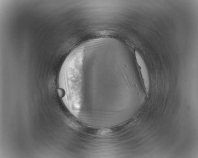 X0000063460410200602171932