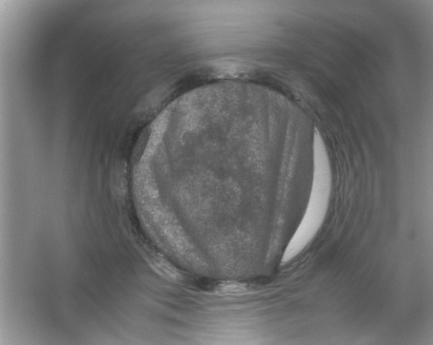 X0000063460413200602171932