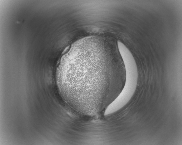 X0000063460416200602171932