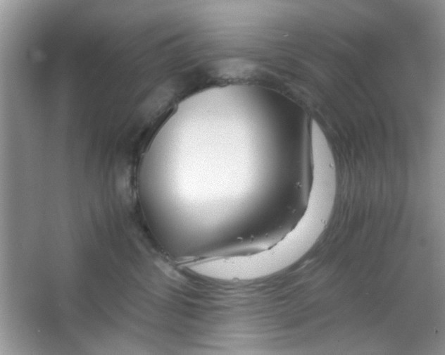 X0000063460428200602171932