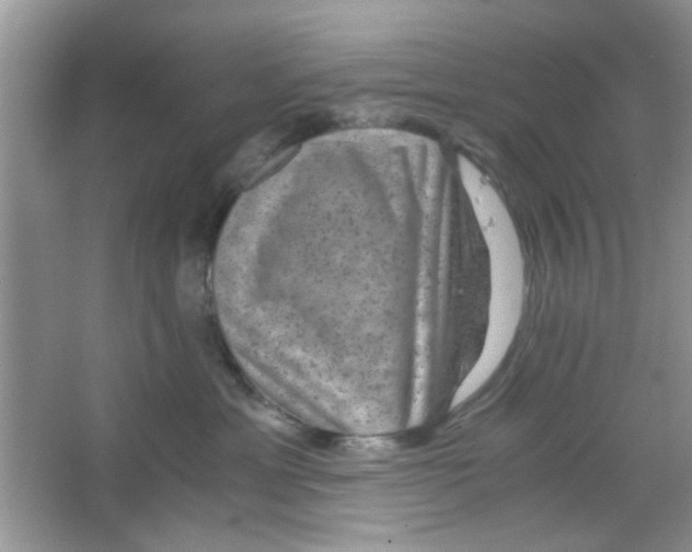 X0000063460429200602171932