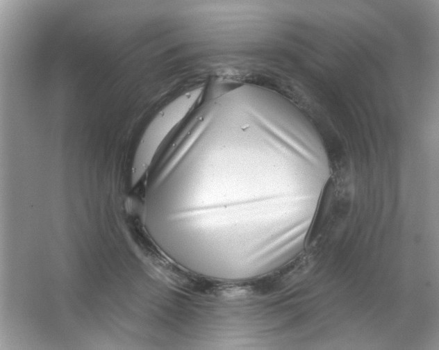 X0000063460456200602171931