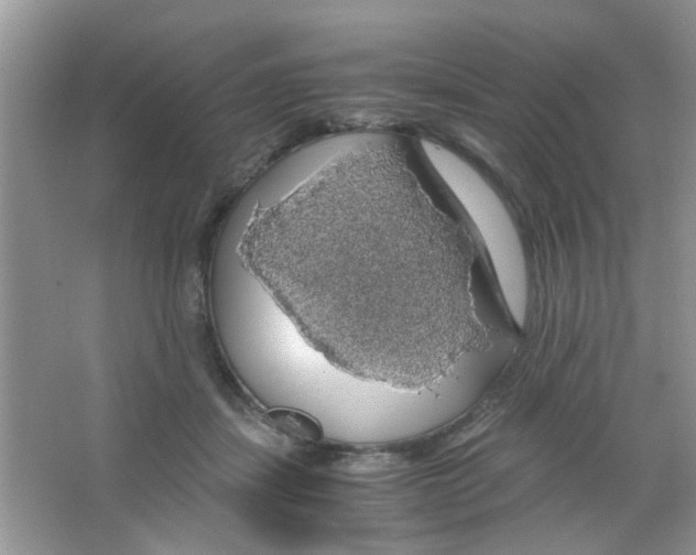 X0000063460459200602171932