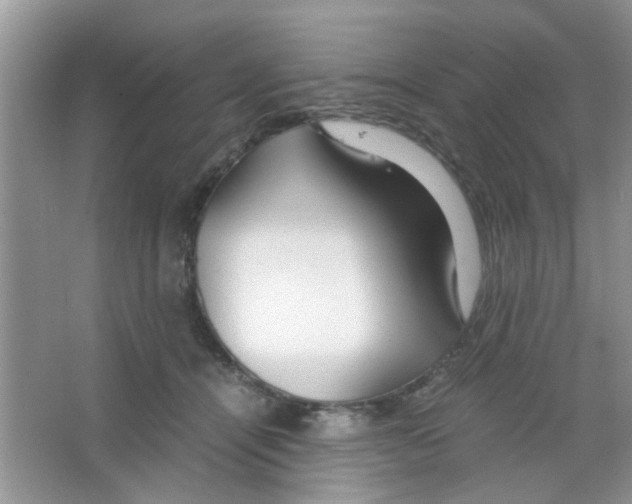 X0000063460464200602171932