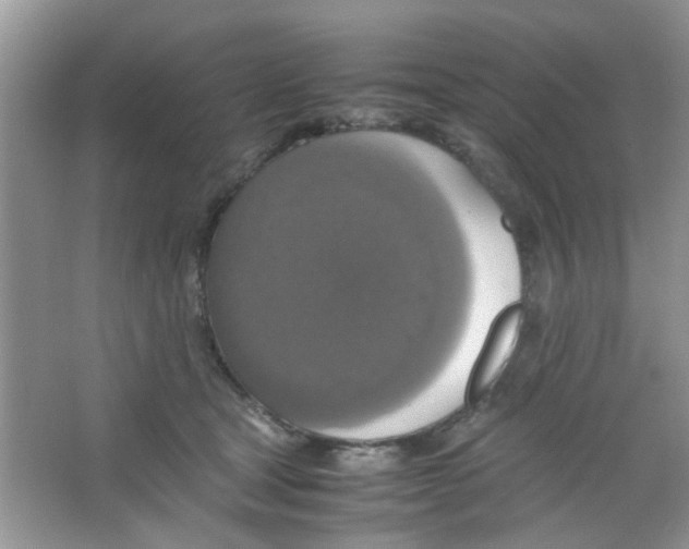X0000063460465200602171932