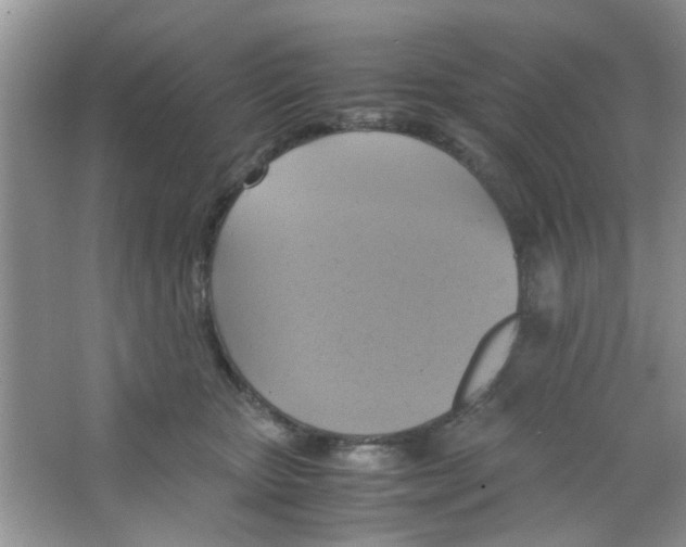 X0000063460467200602171932