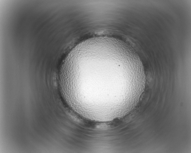 X0000063460470200602171932