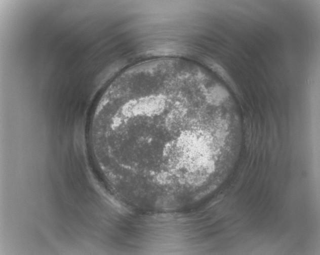 X0000063460482200602171931