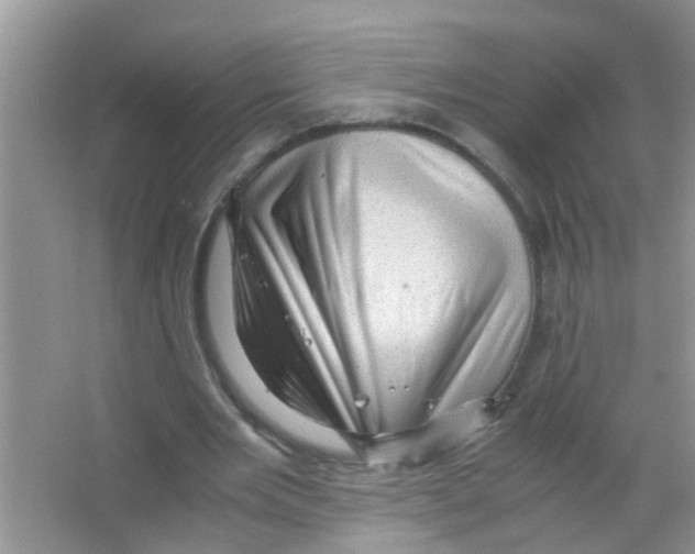 X0000063460485200602171931