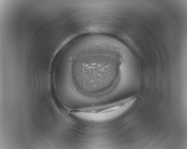 X0000063460488200602171931