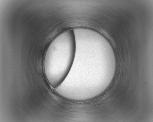X0000063460489200602171931