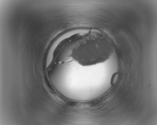 X0000063460491200602171931
