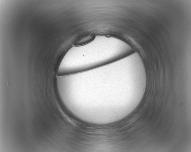 X0000063460493200602171931
