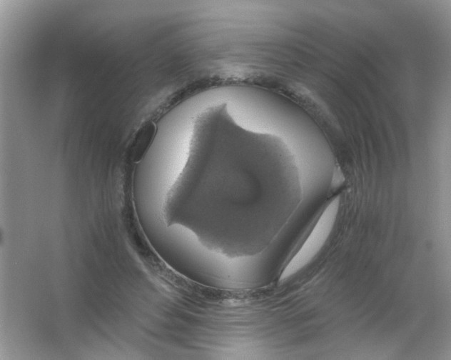 X0000063460496200602171931