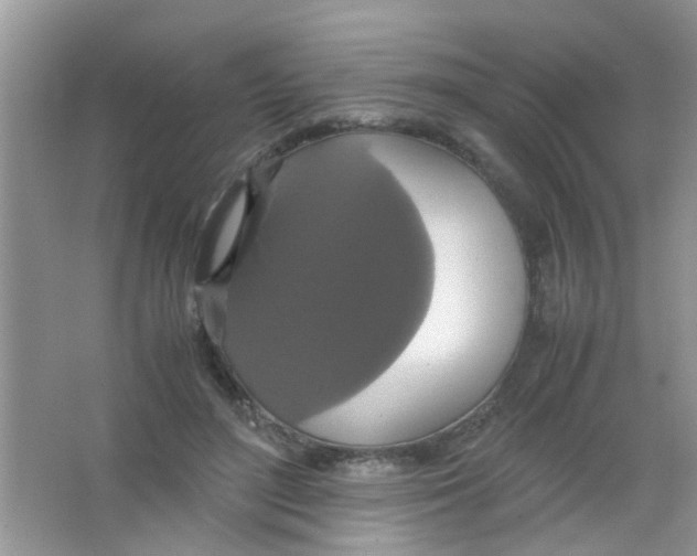 X0000063460500200602171931