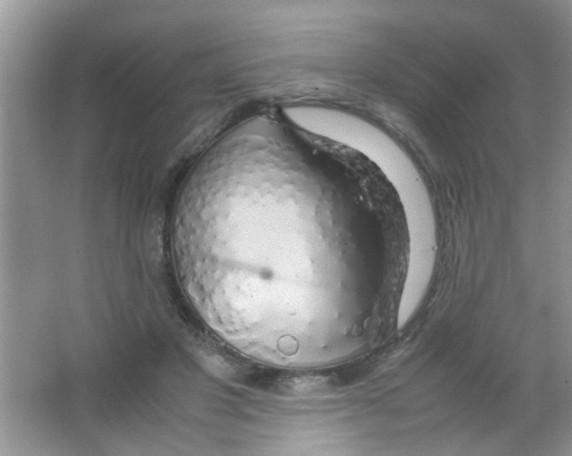 X0000063460501200602171931