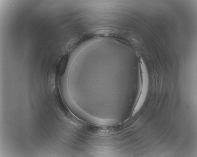 X0000063460504200602171931