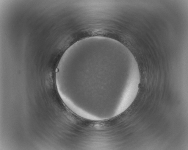 X0000063460506200602171931