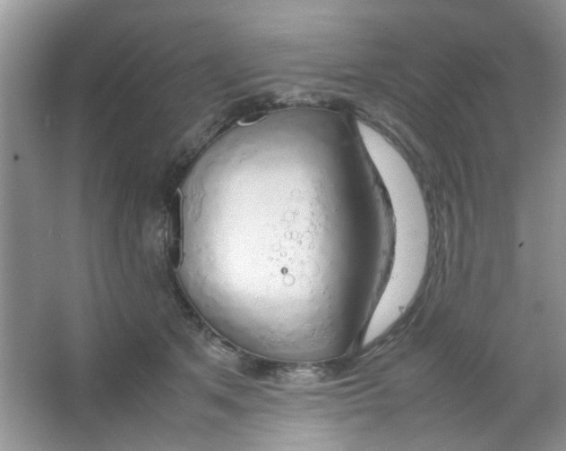 X0000063460513200602171930