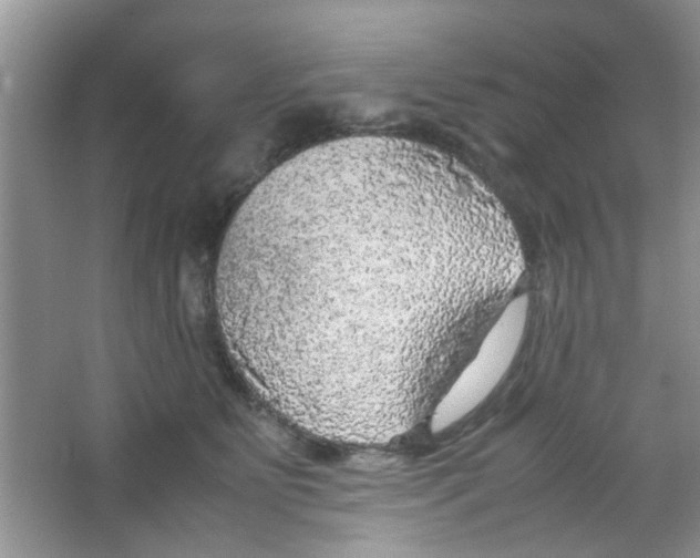 X0000063460515200602171930