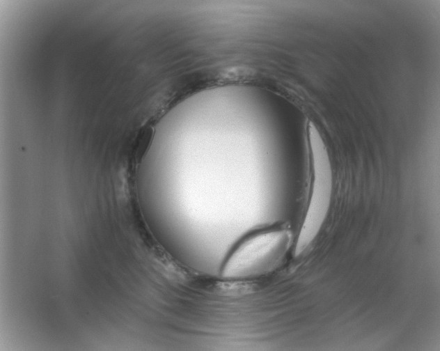 X0000063460520200602171930