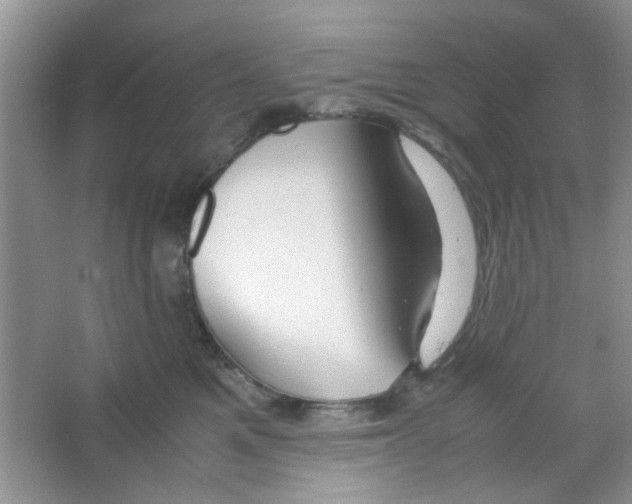 X0000063460521200602171930