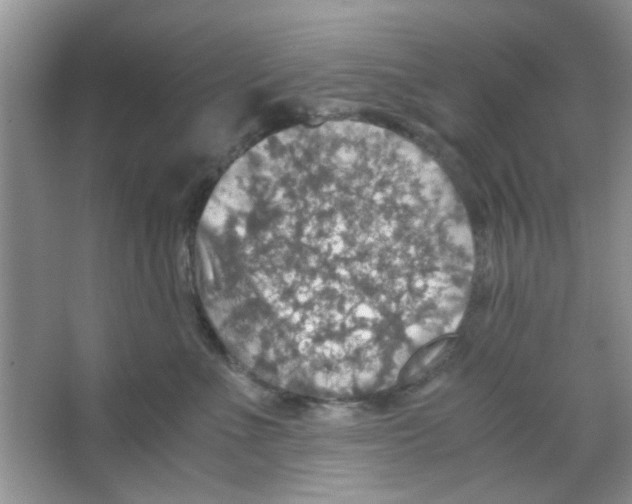 X0000063460523200602171930