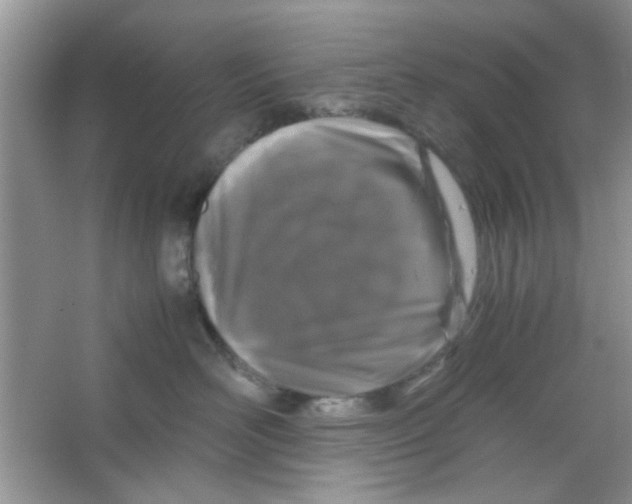 X0000063460526200602171930