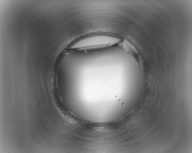 X0000063460544200602171930