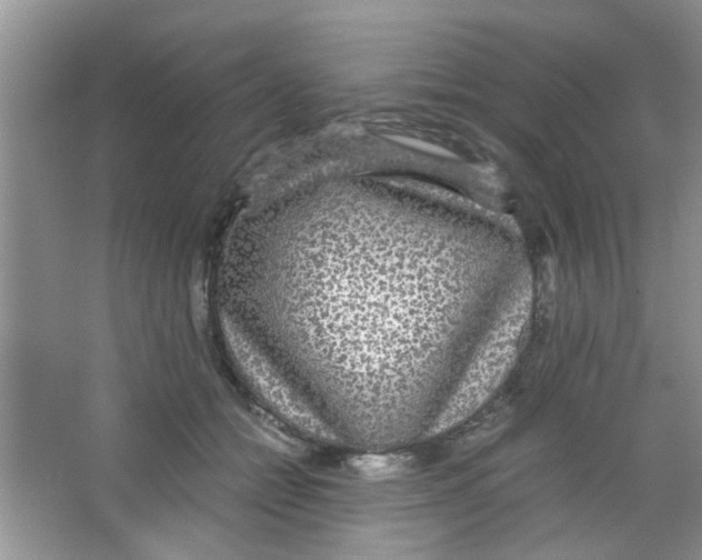 X0000063460558200602171930