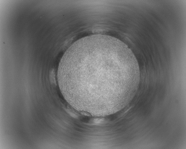 X0000063460575200602171930