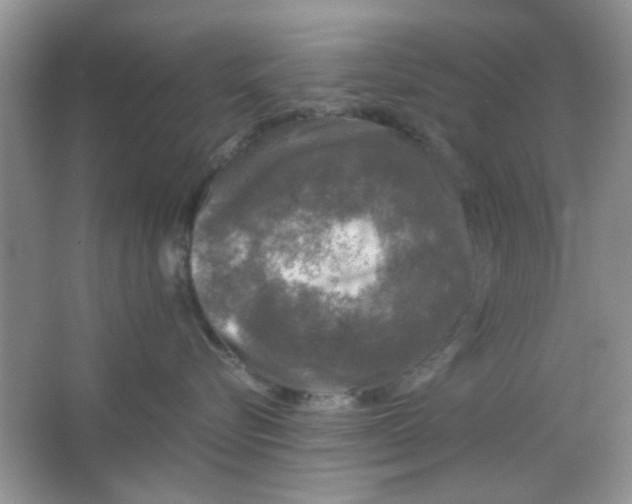 X0000063460576200602171930
