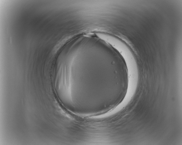 X0000063460577200602171929