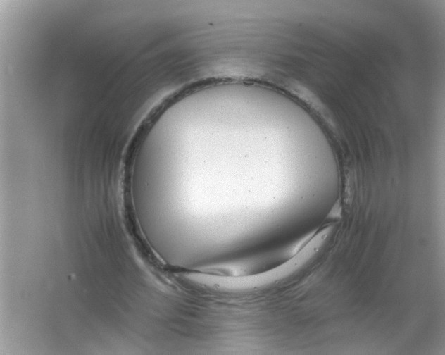 X0000063460580200602171929