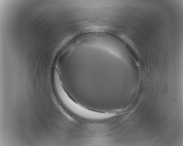 X0000063460581200602171929