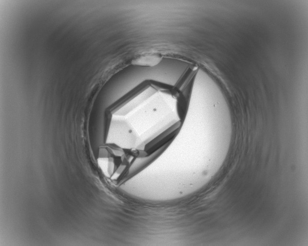X0000063460585200602171929