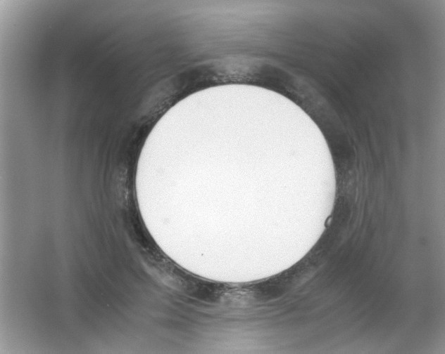 X0000063460599200602171929