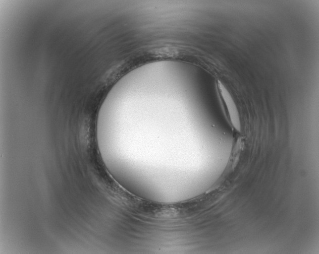 X0000063460600200602171929