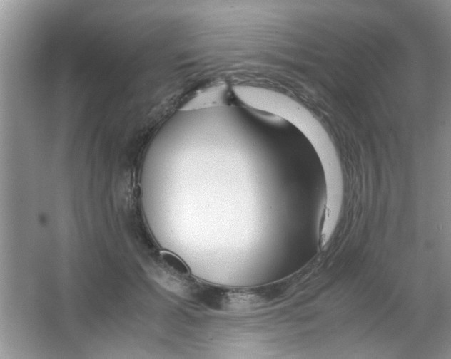 X0000063460605200602171929