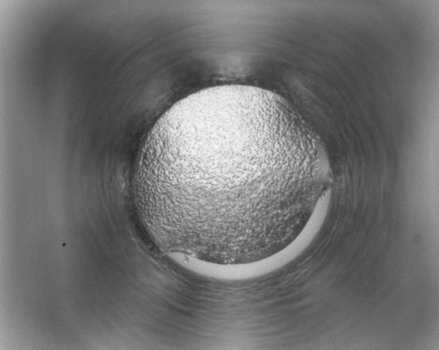 X0000063460608200602171929