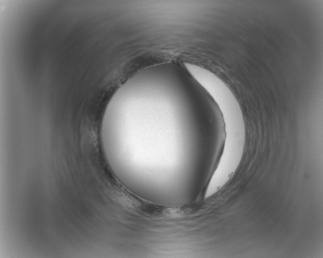 X0000063460613200602171929