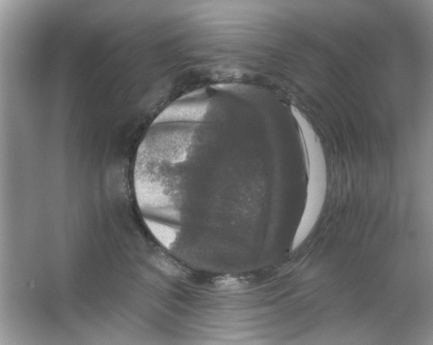 X0000063460616200602171929