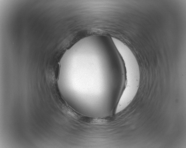 X0000063460617200602171929
