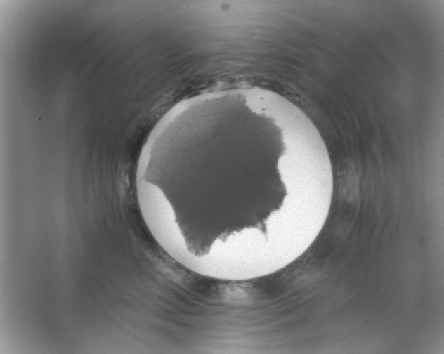 X0000063460618200602171929